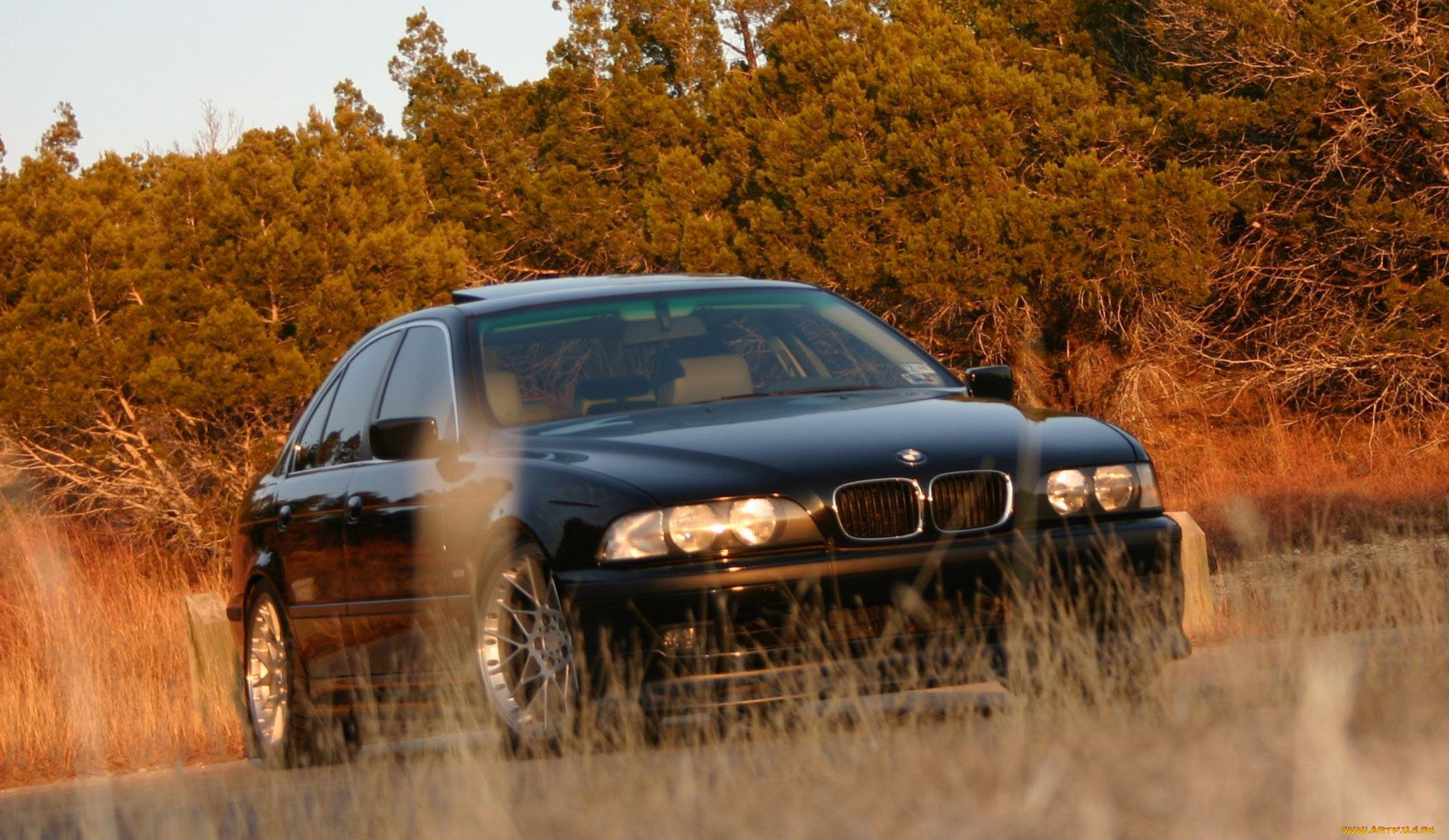 , bmw, five, series